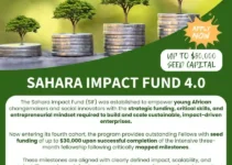 Sahara Group 4th Cohort of Impact Fund to Support African Changemakers
